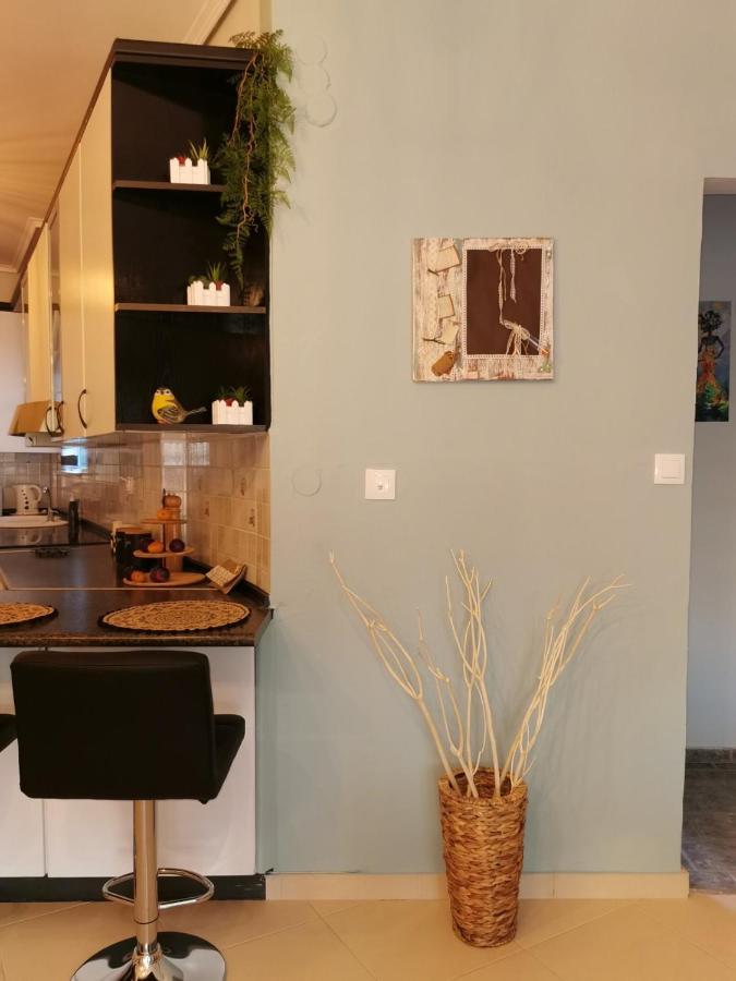 Theia Analipsi Central Apartment Kateríni Exteriör bild